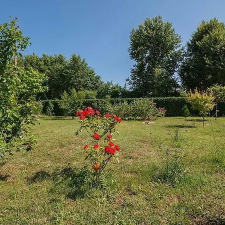 Radeki Glavica 112b Apartamento
